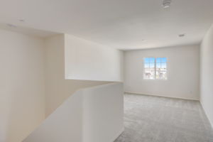 Brotchie Ln-017