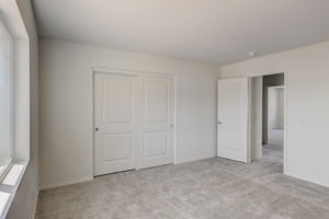 Brotchie Ln-026
