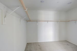Brotchie Ln-023