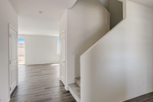 Brotchie Ln-007
