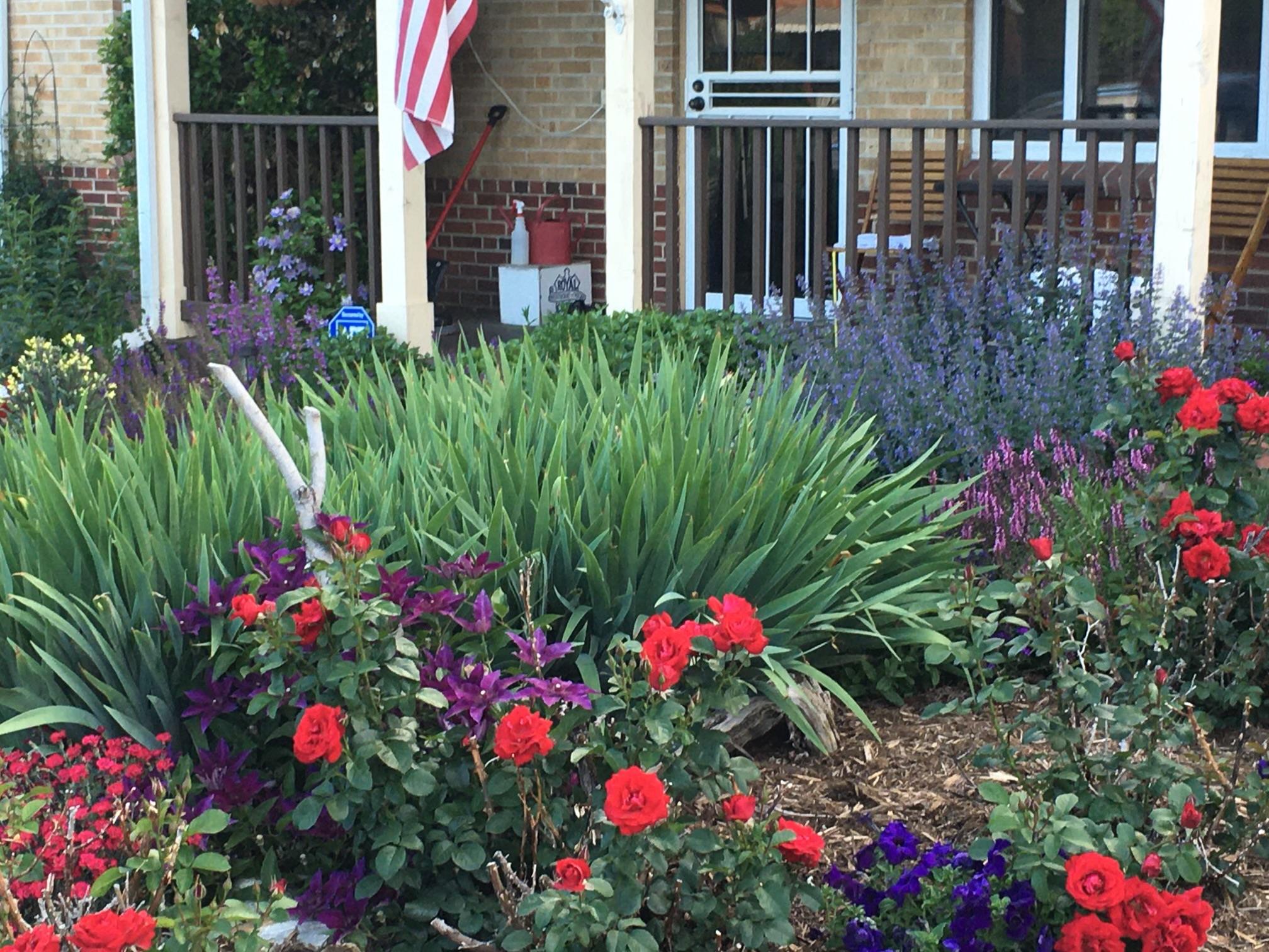 845 Jasmine St, Denver, CO 80220, USA Photo 28