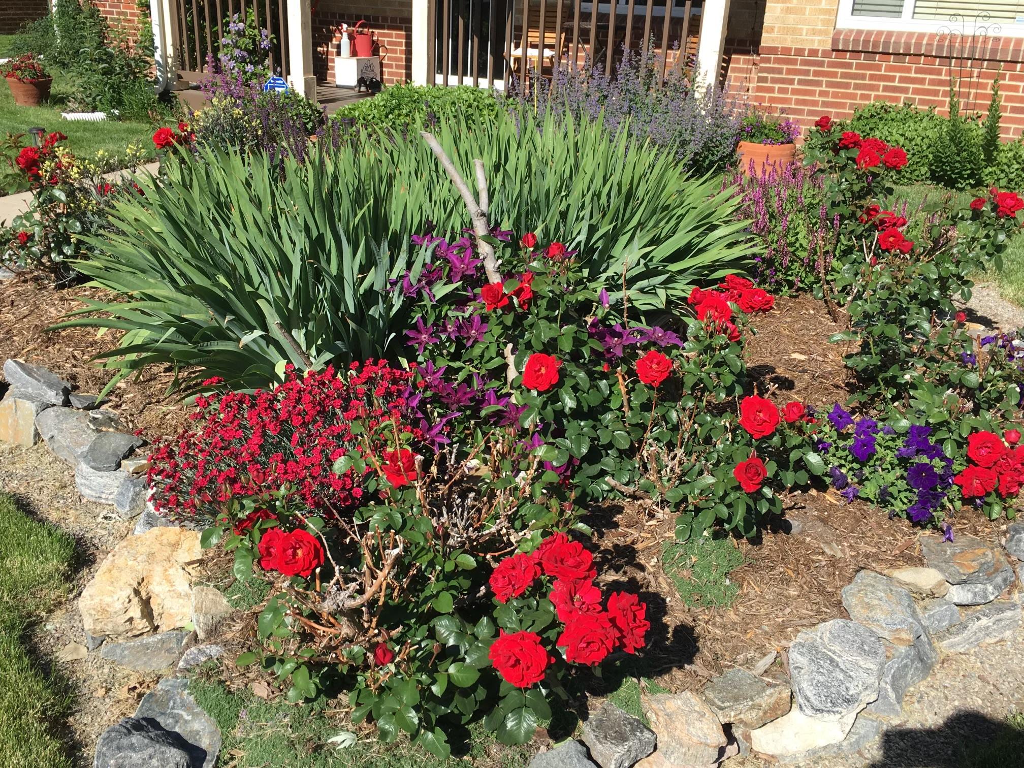 845 Jasmine St, Denver, CO 80220, USA Photo 27