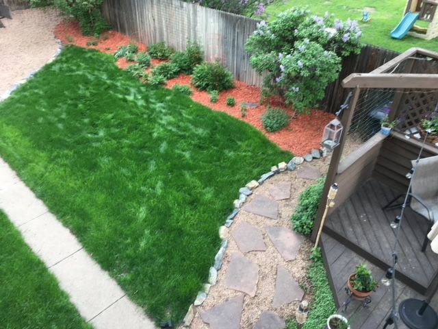 845 Jasmine St, Denver, CO 80220, USA Photo 34