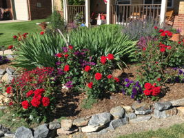 845 Jasmine St, Denver, CO 80220, USA Photo 29