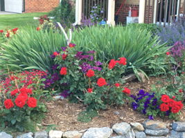 845 Jasmine St, Denver, CO 80220, USA Photo 28