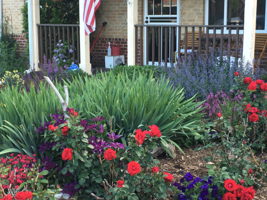 845 Jasmine St, Denver, CO 80220, USA Photo 27