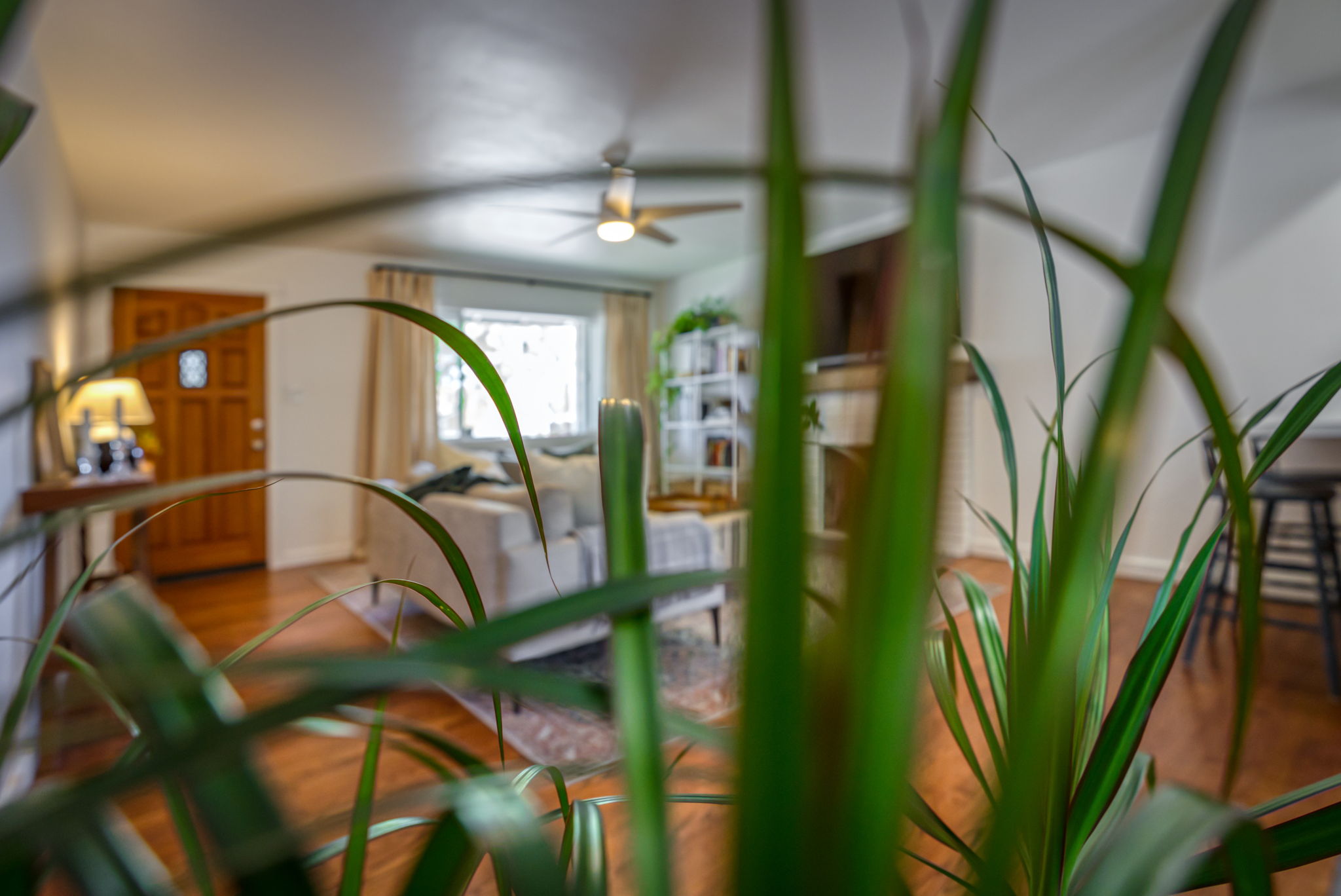 845 Rhode Island Dr, Reno, NV 89503, USA Photo 30