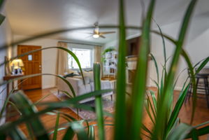 845 Rhode Island Dr, Reno, NV 89503, USA Photo 29