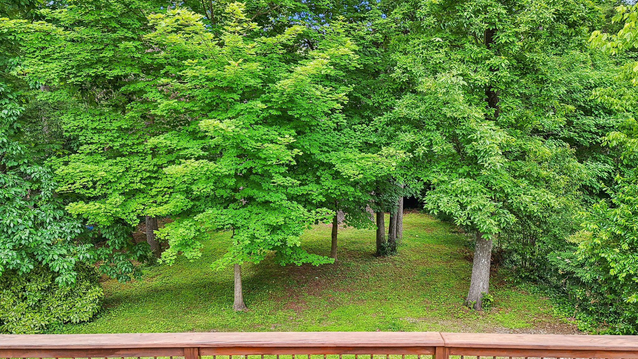 Stratford Rd-0605-061.jpg