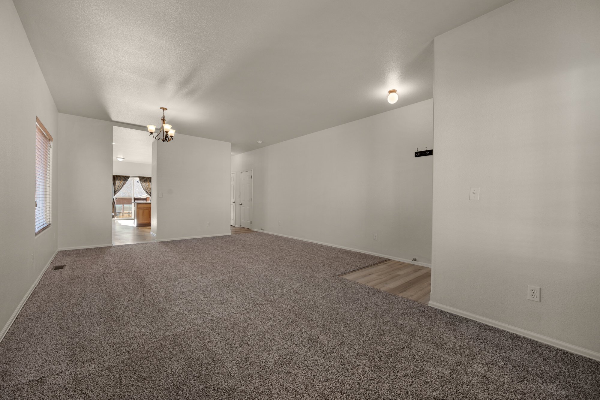 8457 Chasewood Loop, Colorado Springs, CO 80908, USA Photo 6