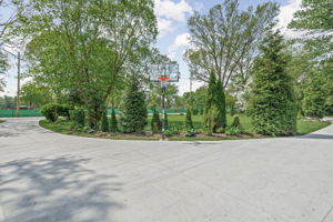  Photo 44