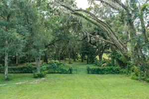  Photo 36