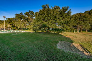 10-Horseshoes