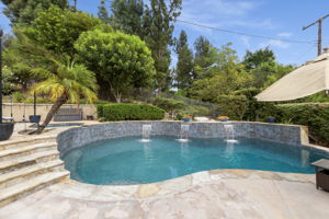Massive Pool and Spa