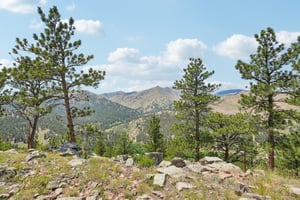 stoneridge Terrace-S2306-066.jpg
