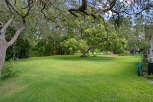  Photo 52