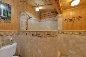  Photo 38
