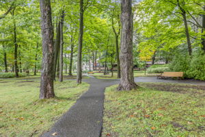 Photo 69