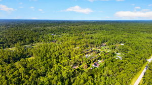 Aerial Rear Exterior 1 - lot line