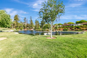 049_8480 Grenache Ct  