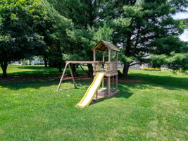  Photo 38