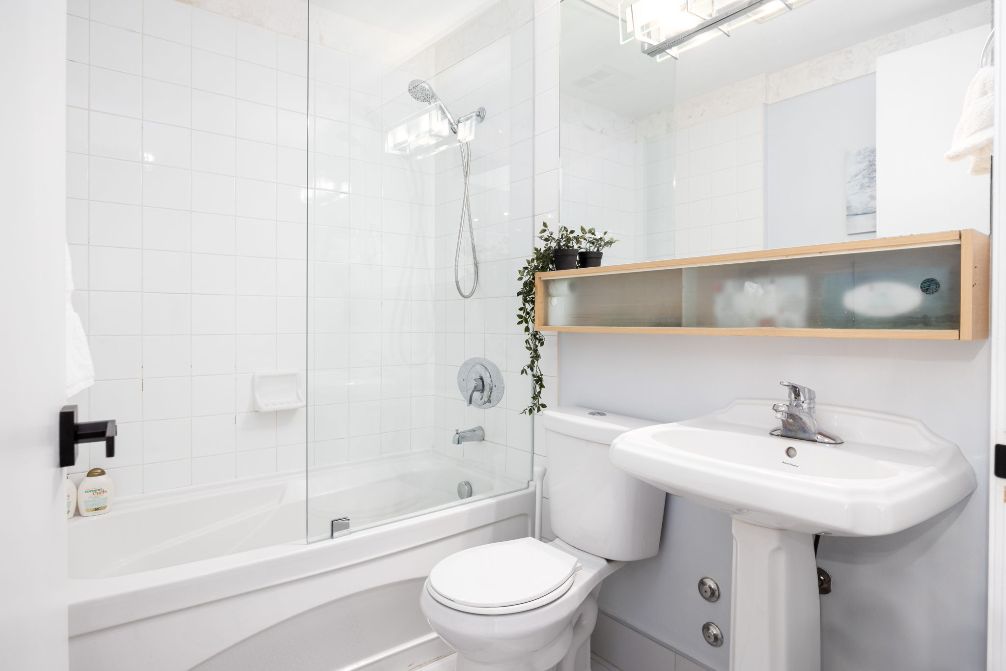 Toronto property showcase — delivered property photograph 10