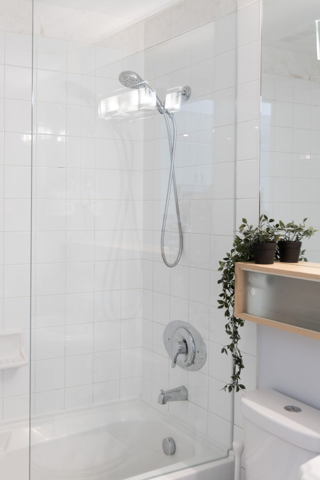 Toronto property showcase — delivered property photograph 24