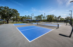 Pickelball Courts8