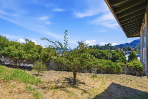 041_F8_85 Park Cir