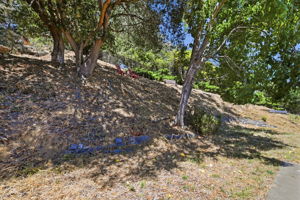 042_F8_85 Park Cir