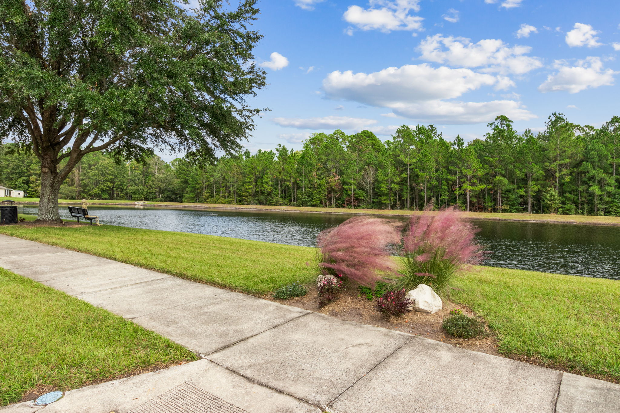 Hammock Plantation