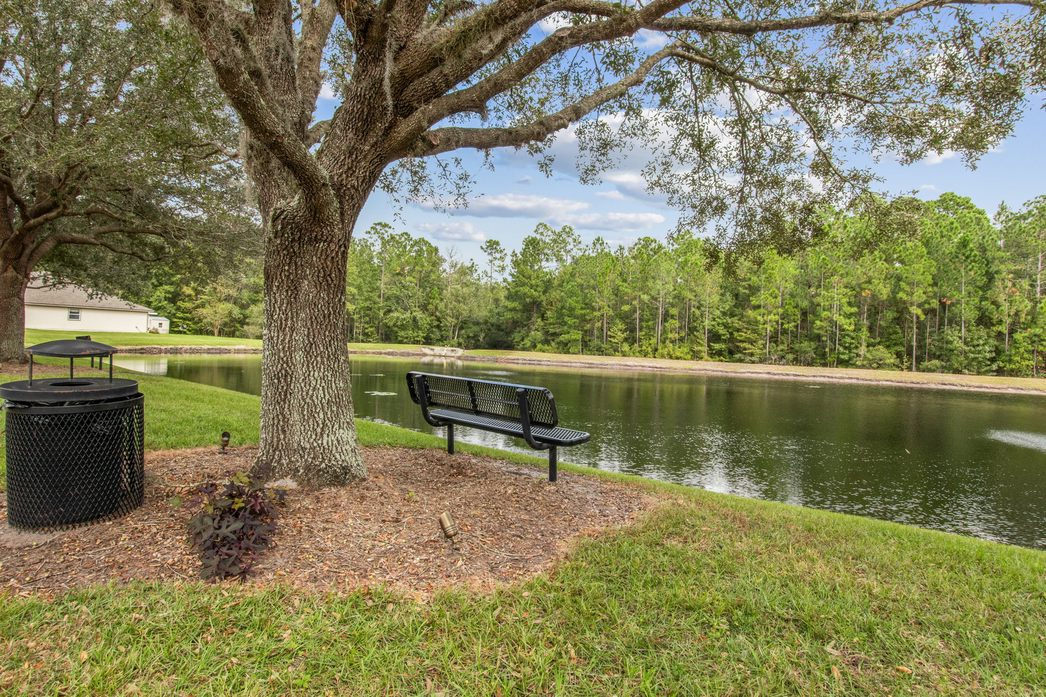 Hammock Plantation