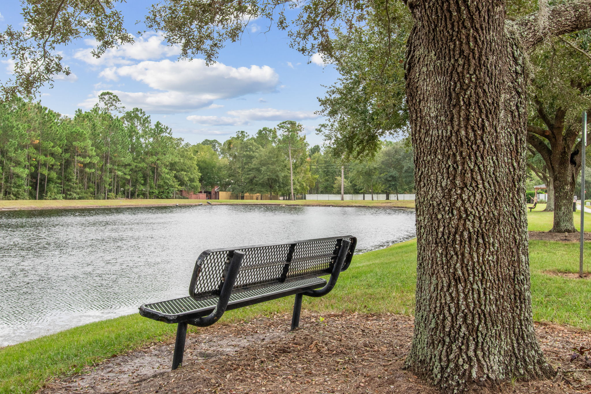 Hammock Plantation