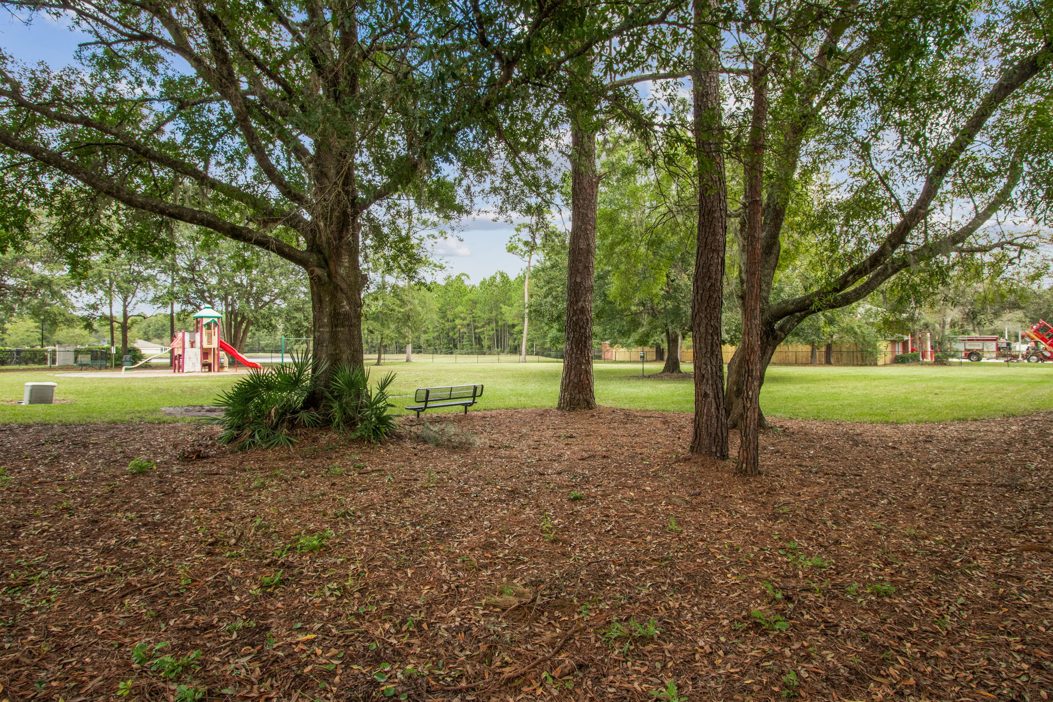 Hammock Plantation