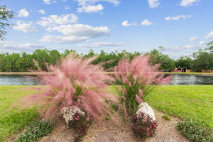 Hammock Plantation