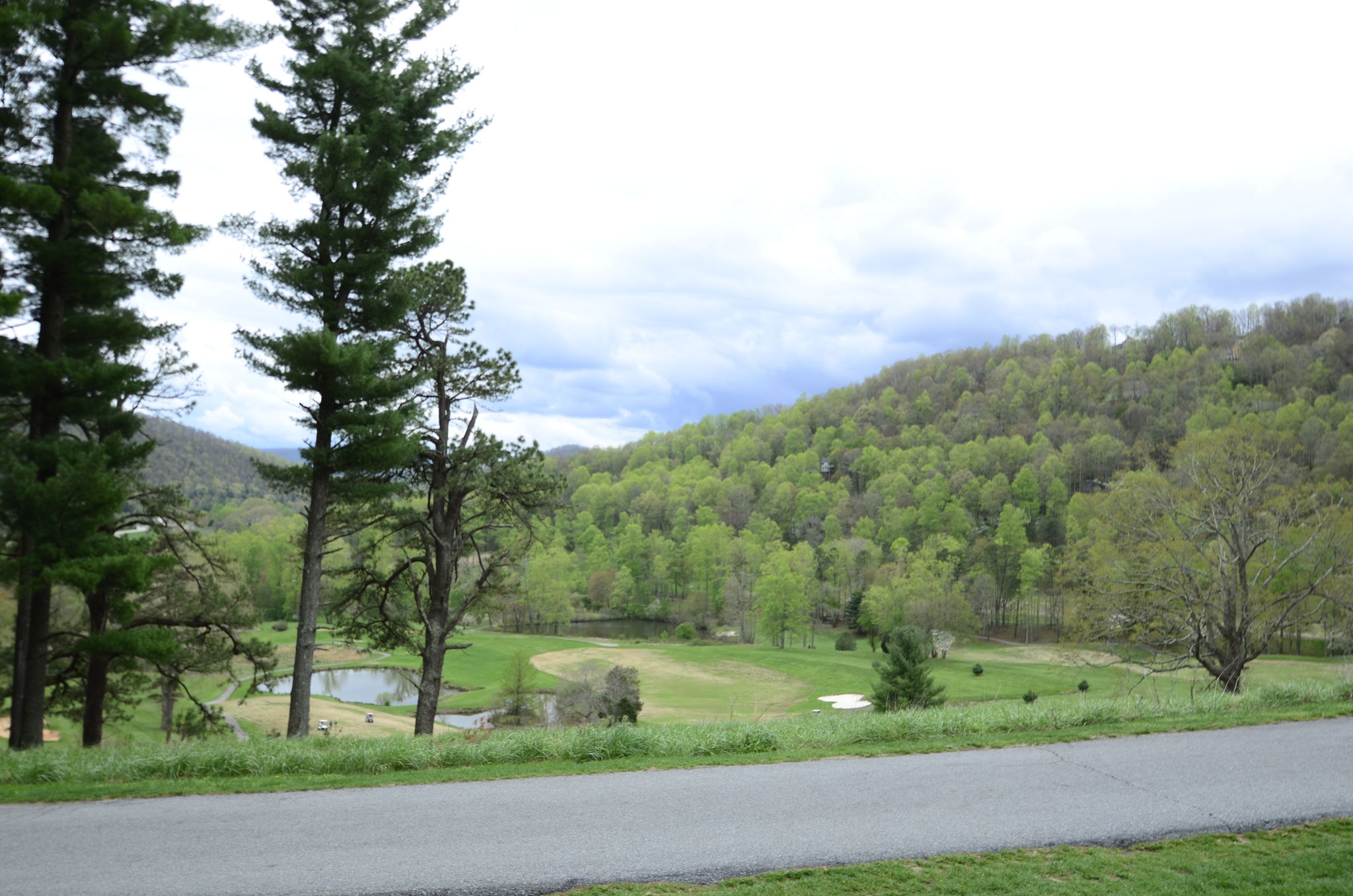  Photo 25