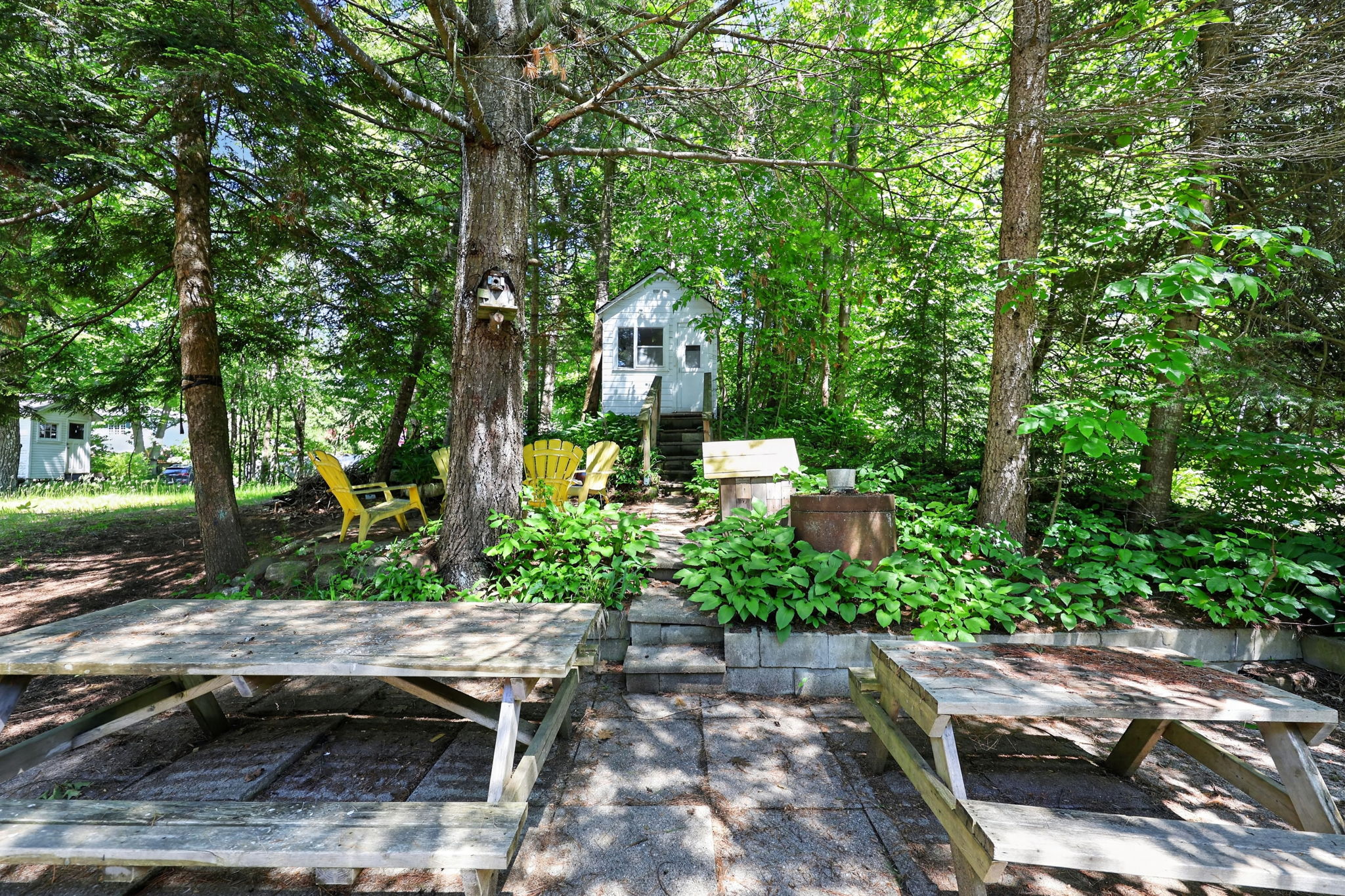  Photo 27