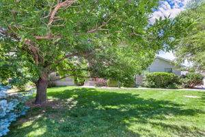  Photo 0