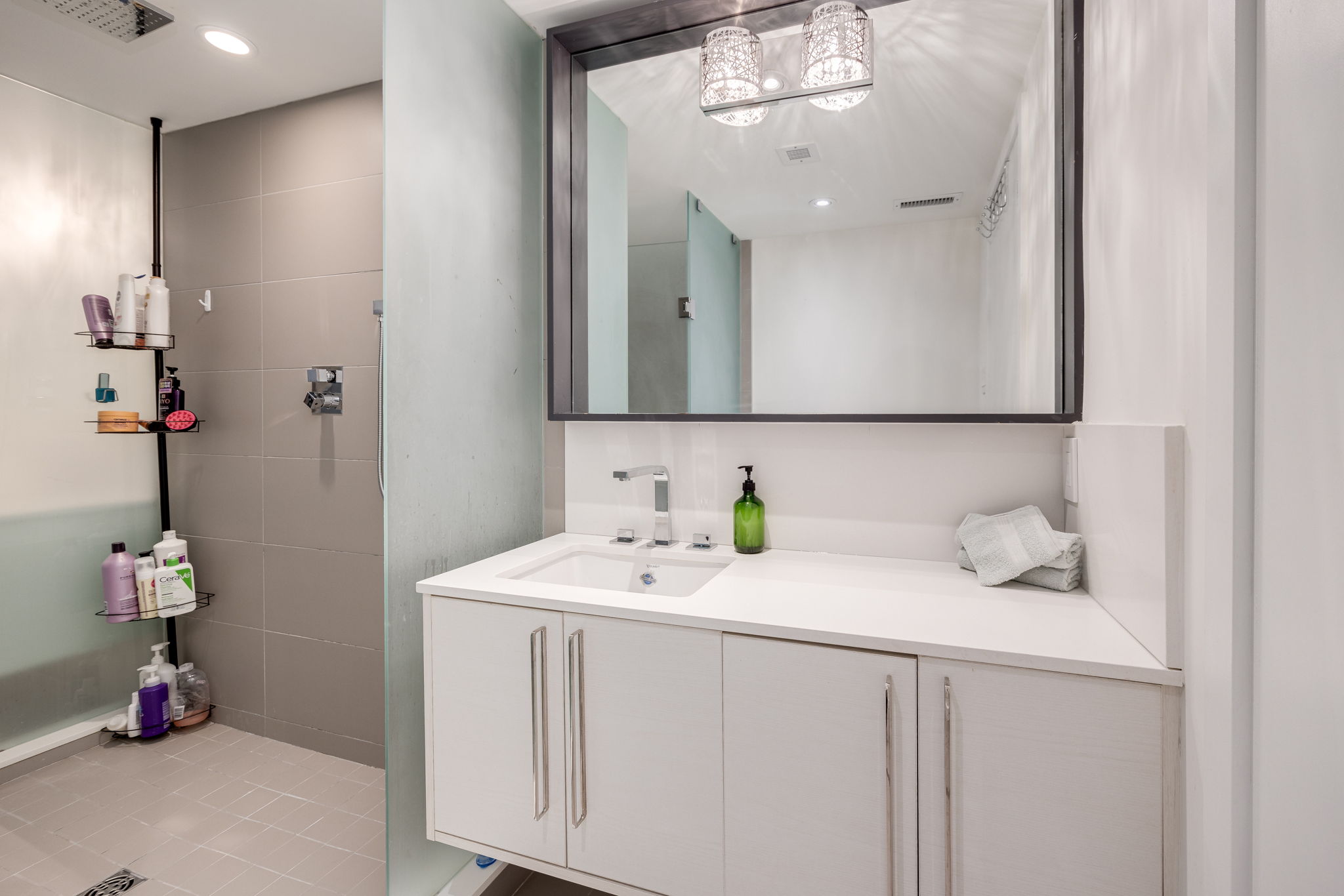 Toronto property showcase — delivered property photograph 16