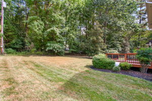 29-Backyard