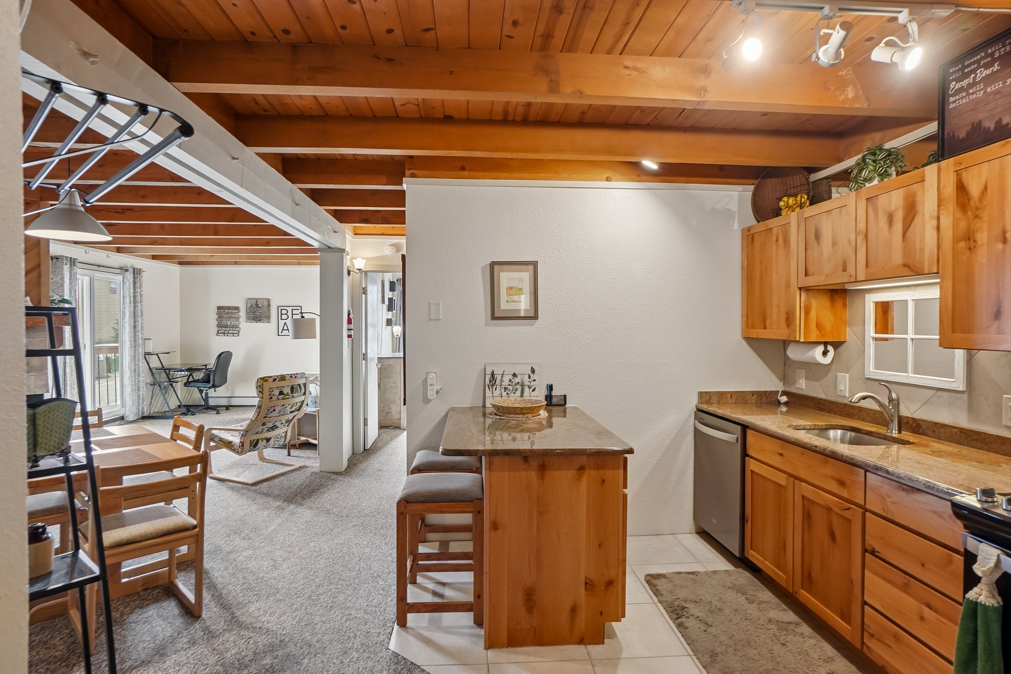 Ryan Gulch Rd apartment g205-S1110-011.jpg