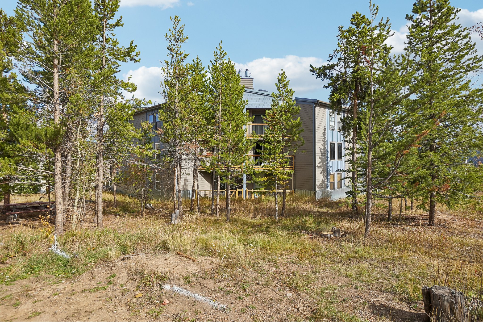 Ryan Gulch Rd apartment g205-S1110-024.jpg