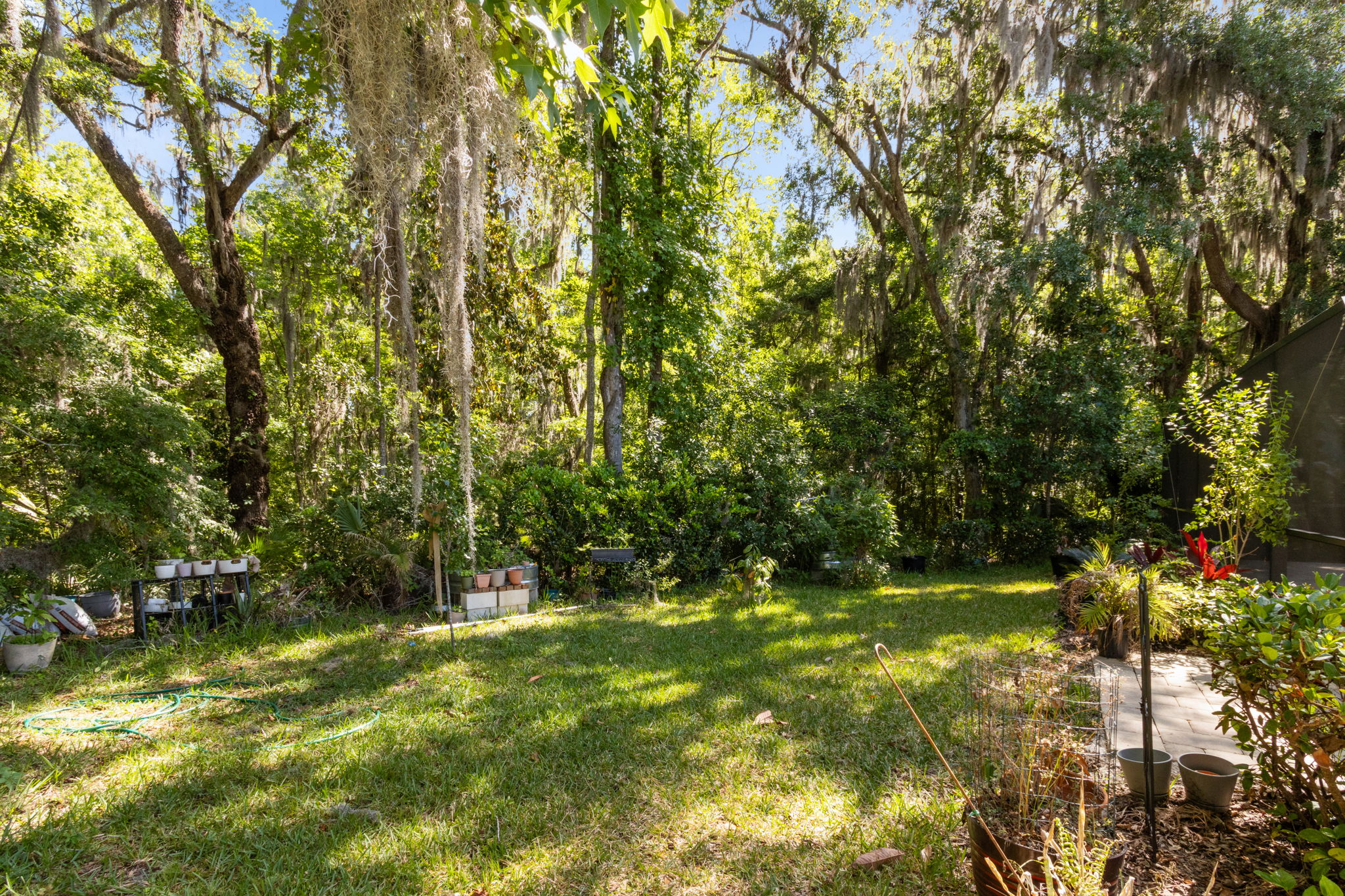 Backyard