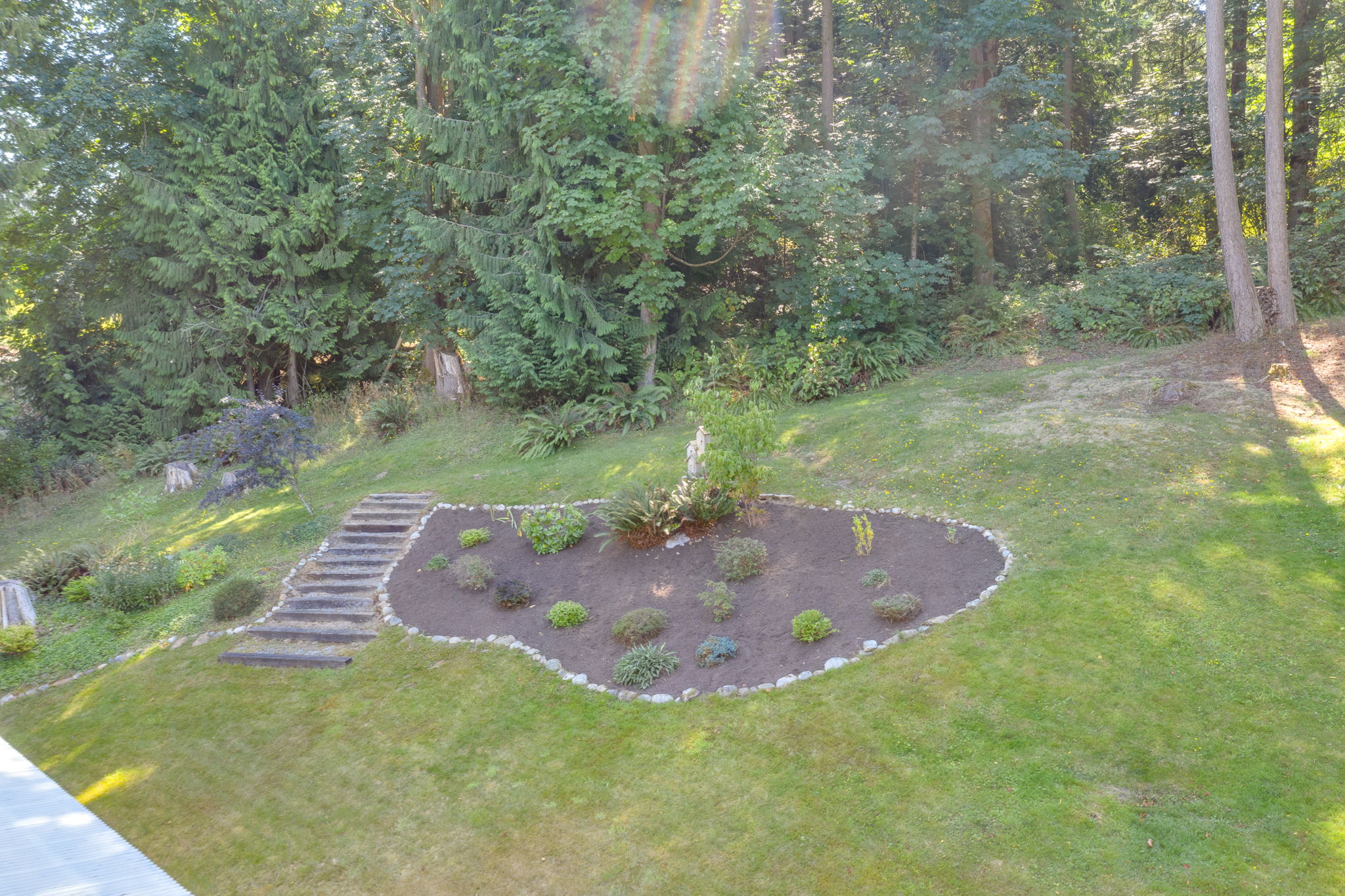  Photo 44
