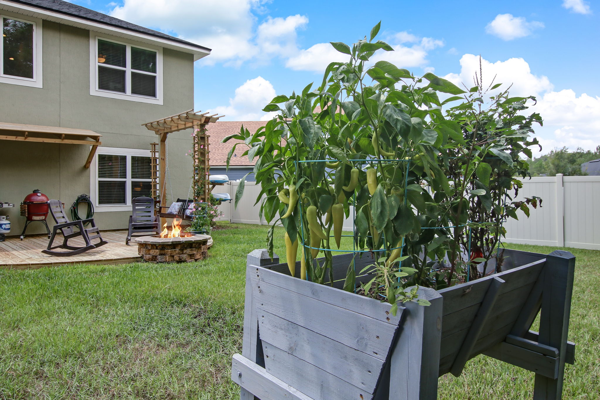 Back Yard