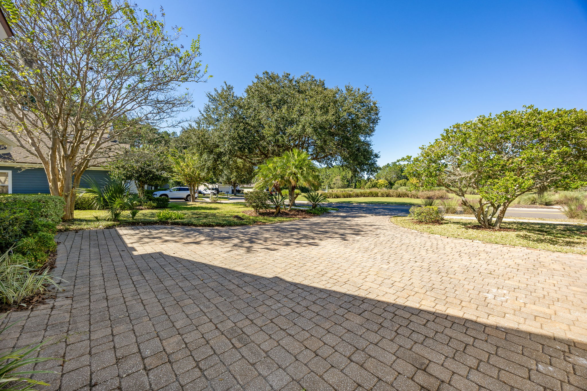 Front Yard