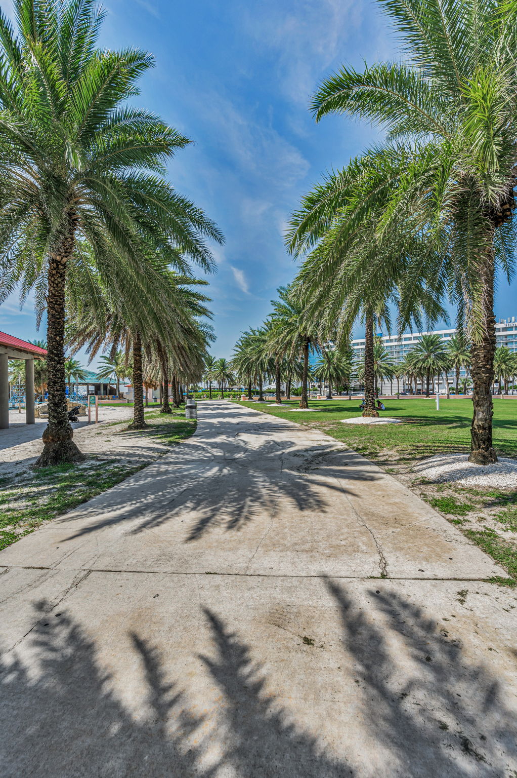 Pier60-5