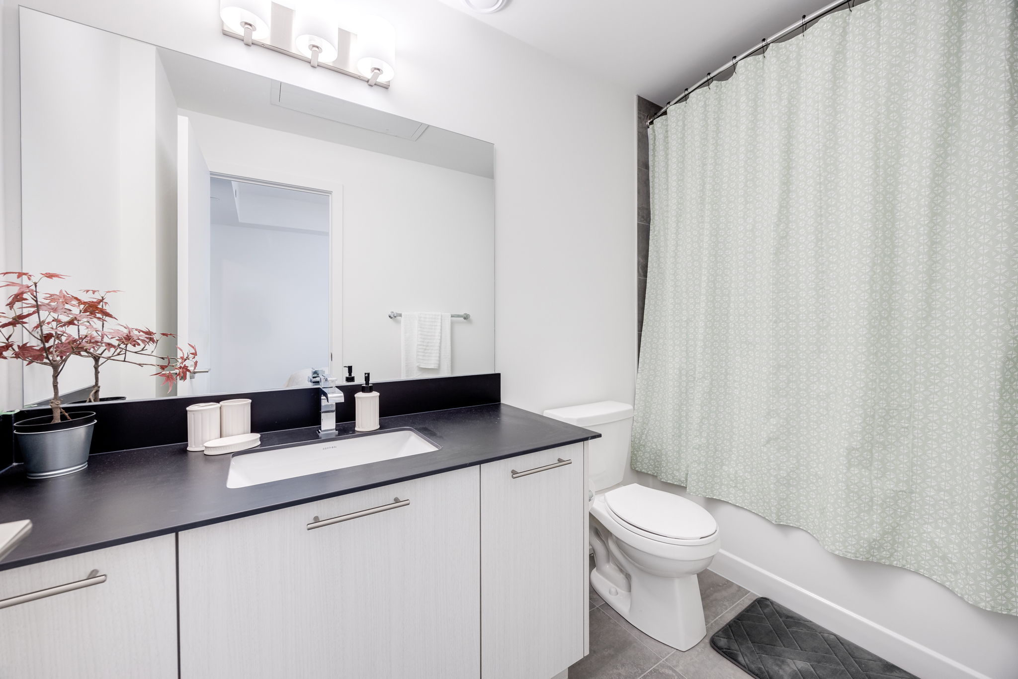 Toronto property showcase — delivered property photograph 12