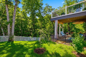  Photo 36