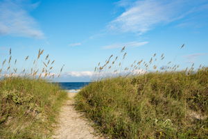 Amelia Island Beaches